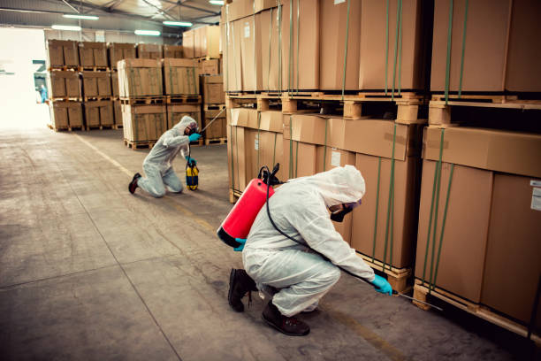 Best Wildlife Control Services  in Wallington, NJ