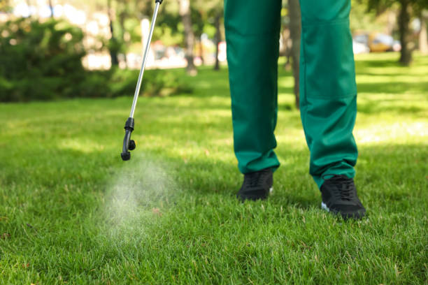 Best Cockroach Control Services  in Wallington, NJ