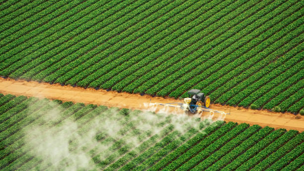 Best Commercial Pest Control Services  in Wallington, NJ