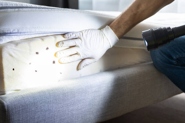 Best Pest Control Near Me  in Wallington, NJ